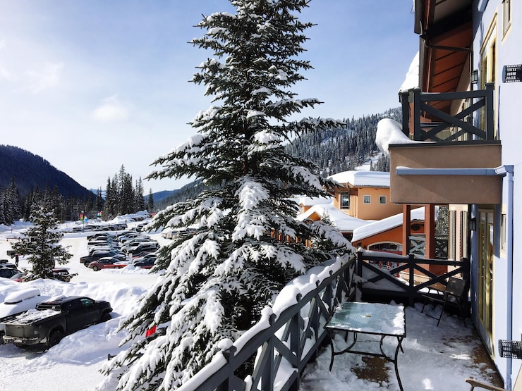 Estonian winter scene