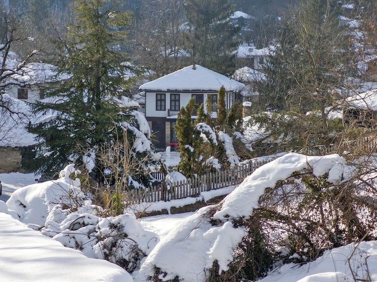 Estonian winter landscape